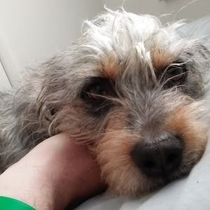 Meet your Posher, Cory